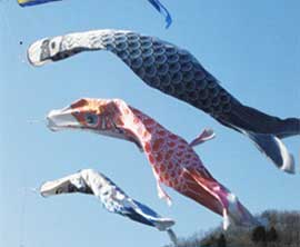 Three windsocks, resembling carp, fly in the wind