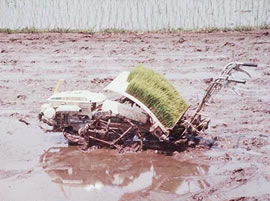 A hand-pushed rice transplanter sits buried in a muddy field.