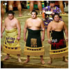 Three sumo wrestlers standing in the ring, with formal aprons.