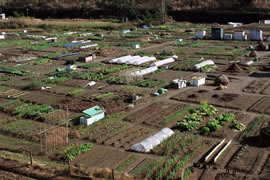 Aerial view of dry farmland with vegetable greenhouses.