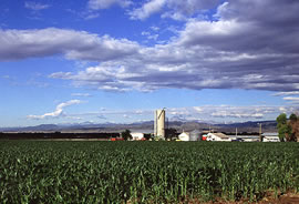 Fields surround several white farm buildings.