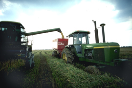Two large tractors are working in a green field.