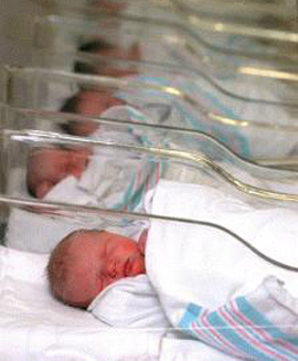 A group of newborn babies in a hospital