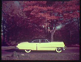 A yellow car from the 1950s in front of a red tree